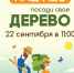 Наш лес. Посади свое дерево 2018 - ГБУЗ МО ПГБ №2