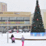 Порядка 70 искусственных елей будет установлено в Подольске в преддверии новогодних праздников - Подольский рабочий