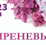 На Сиреневом фестивале проведут эксперимент по созданию музыки ароматов - PodolskRIAMO.Ru