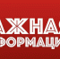 Внимание: бешенство! - Городской округ Подольск