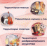КПЦ «Дубровицы» объявляет набор участников в творческие коллективы - МАУ Медиацентр