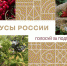 Жителей Подмосковья призвали поддержать местные ягоды на конкурсе «Вкусы России» - PodolskRIAMO.Ru