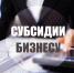 На портале госуслуг Подмосковья бизнес сможет получить комплексно две субсидии - Городской округ Подольск