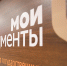 МФЦ Подмосковья изменят режим работы в новогодние праздники - ТК Кварц