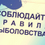 Внимание: весенний нерест! - Комитет по финансам и налоговой политике