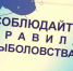 Внимание: весенний нерест! - Pro-Podolsk.Ru