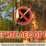 В Подмосковье с 29 марта по 1 апреля прогнозируется высокий класс пожарной опасности - Подольск.Ру