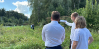 В Подольске от борщевика обработано свыше 50 гектаров земельных участков - МАУ Медиацентр
