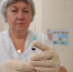 Сезонная вакцинация продлится в Подольске до конца ноября - ТК Кварц
