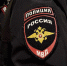 Подольские полицейские принимают поздравления с профессиональным праздником - Regions.Ru