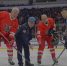 Со Всероссийским днем хоккея! - Pro-Podolsk.Ru