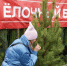 В декабре в Подольске откроются 16 официальных елочных базаров - Pro-Podolsk.Ru